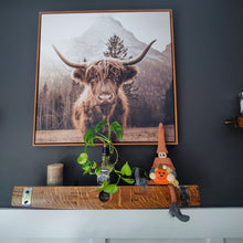 Load image into Gallery viewer, Floating Liquor Racks from Barrel Staves
